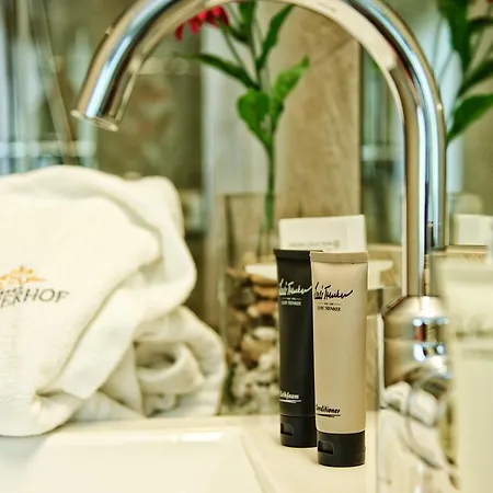 Salnerhof Superior Lifestyle 4* Ischgl