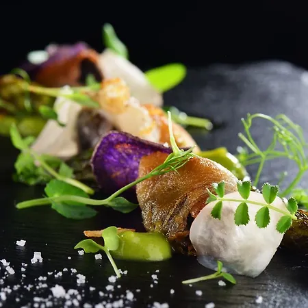 Salnerhof Superior Lifestyle